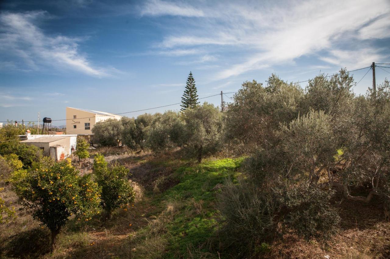 Apartment Sunny - Ex Zoi Agioi Apostoli (Crete)